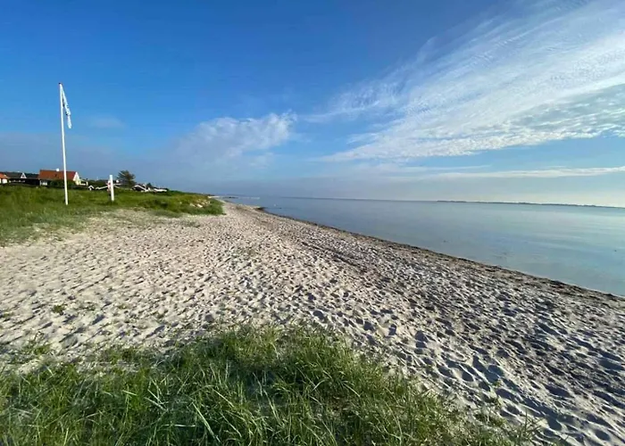 Exclusive From 2024 Near The *